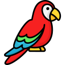 Itinerario parrot